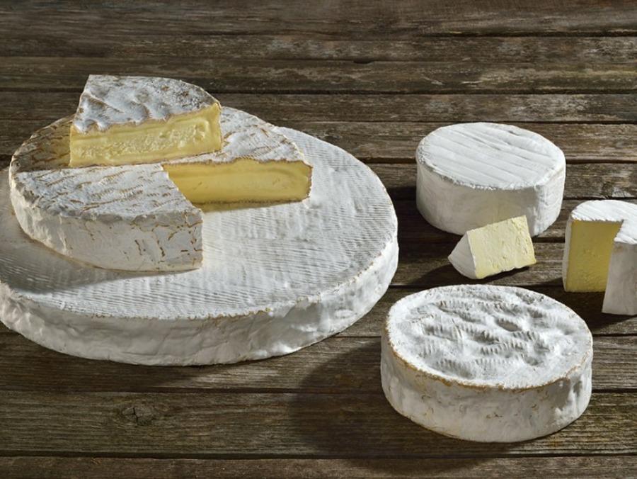 Société fromagère de Meaux Saint-Faron