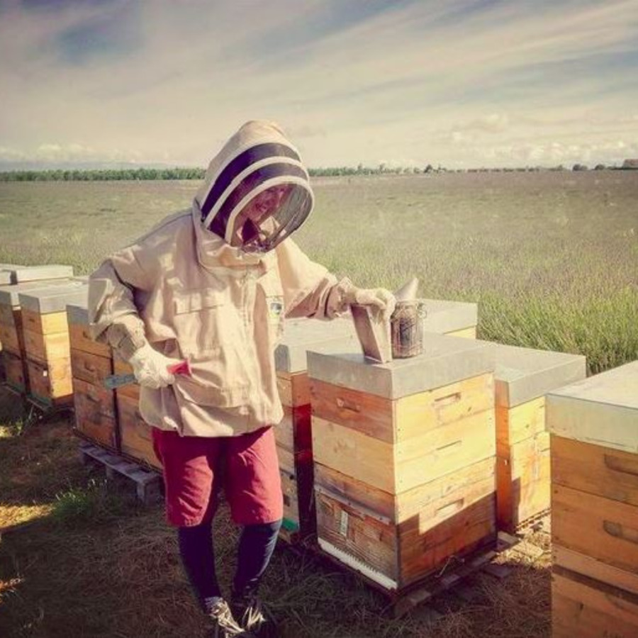 L'abeille autonome