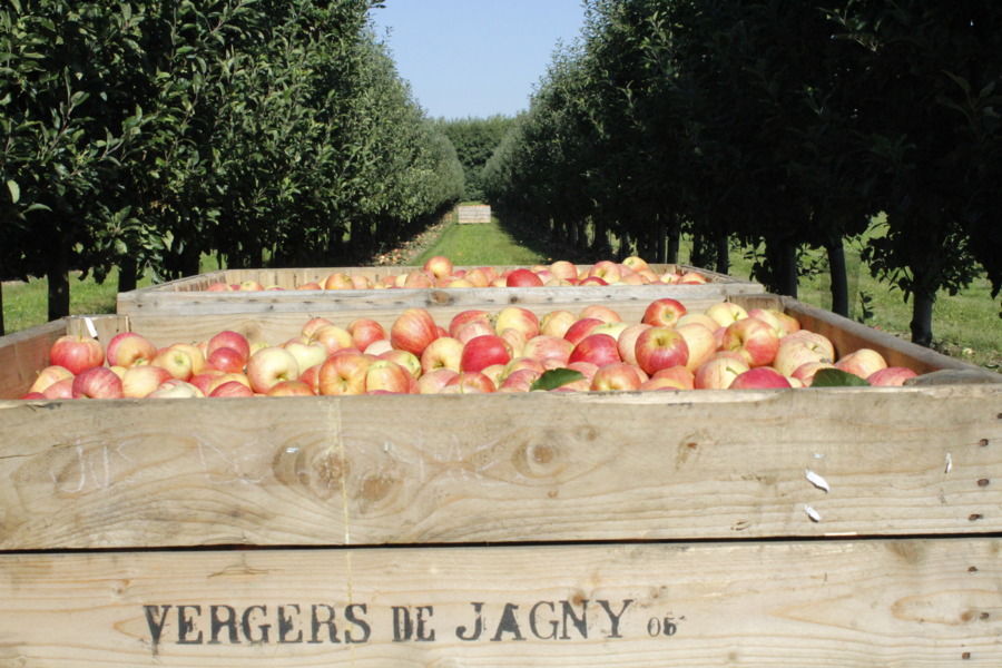 Les Vergers de Jagny