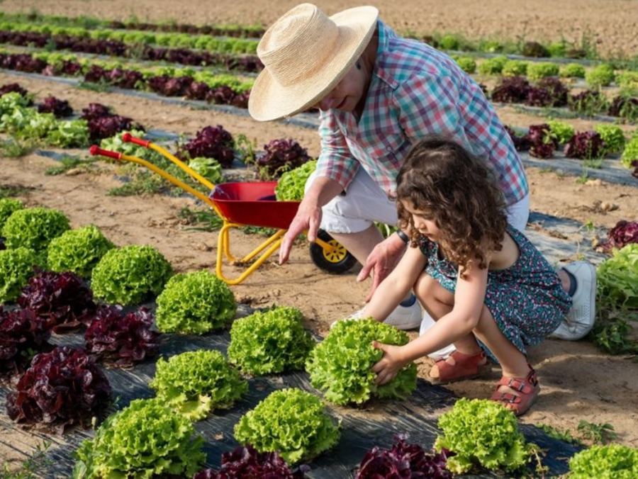 La Cueillette de Cergy