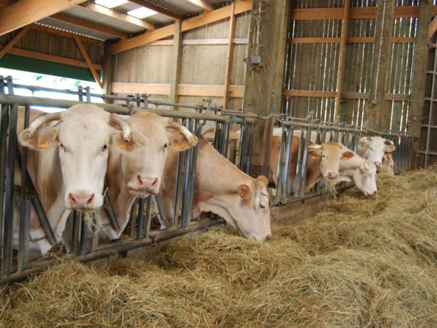 Ferme de la Recette