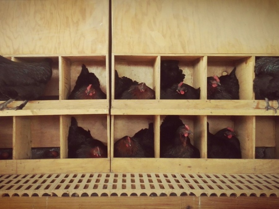 La Ferme de l'Orée de Milly