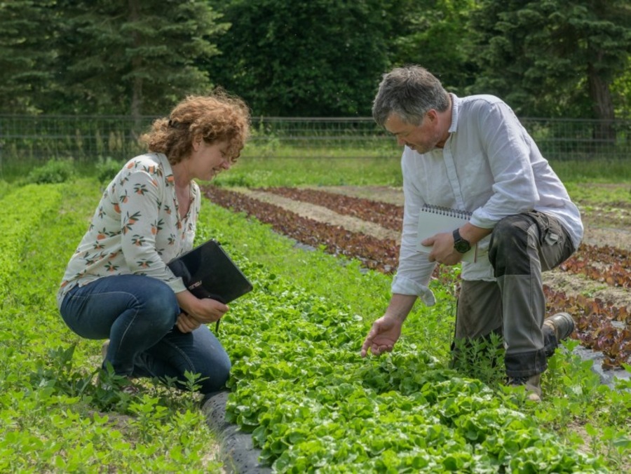 Le Village Potager