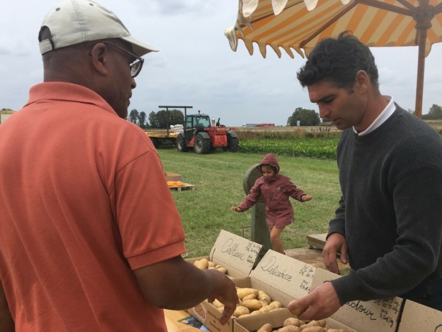 Pommes de terre de Coutevroult