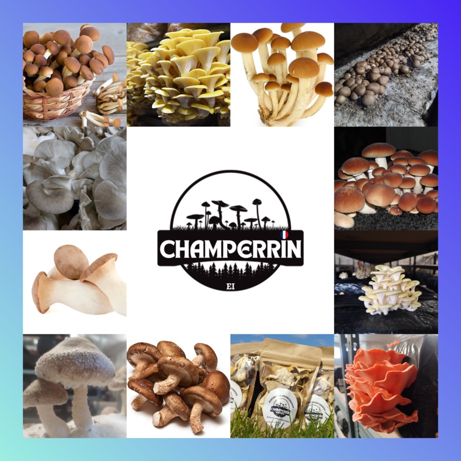 Champerrin