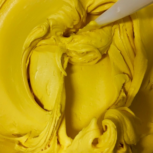 3givrées_sorbet