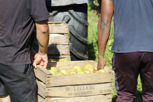 Les Vergers de Jagny