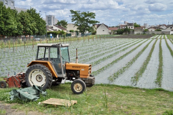Ferme Ouverte de Saint-Denis