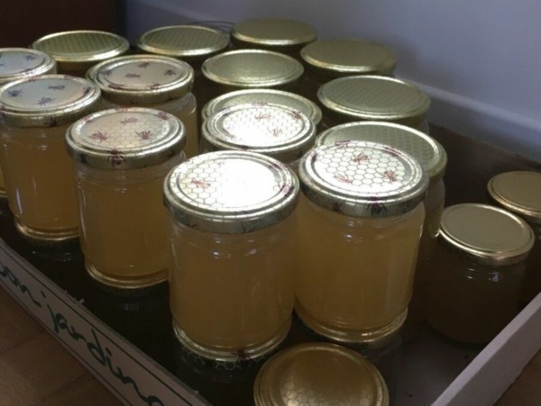 Ruchers Laurent LE BAIL miel