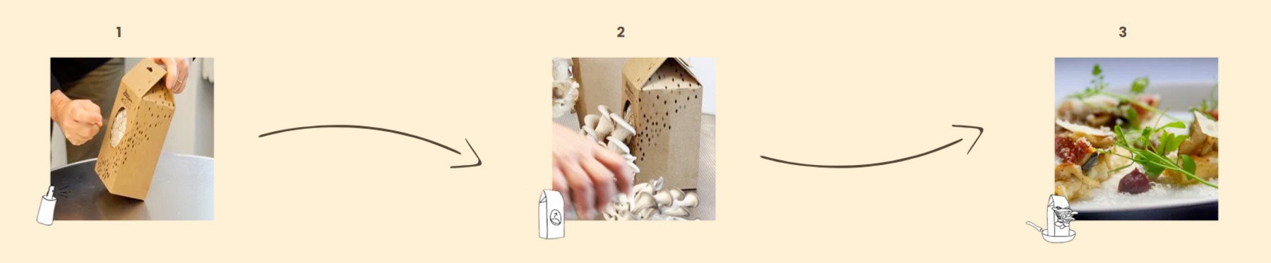étapes la boite à champignons