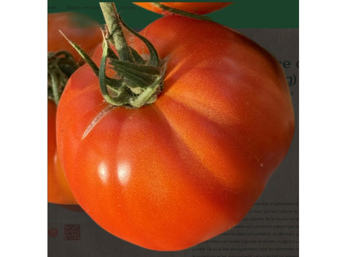 TOMATES COEUR DE BOEUF ROUGE