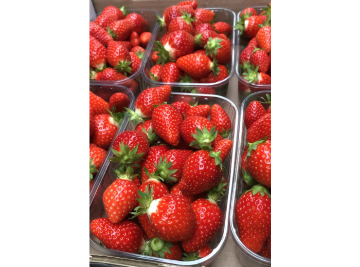 Fraises