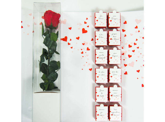 Reine Astrid - Mini Tablettes Chocolat Noir 64%  Lait 44% Rose Eternelle Ecrin 10 Cases