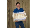 Asperge Blanche