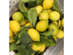 "CITRON NOISETTES SARRASIN"