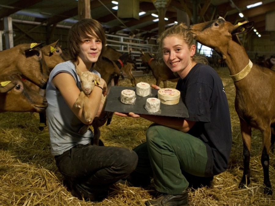 Ferme de la Tremblaye