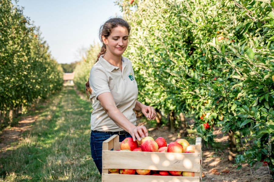 Cueillette de Chanteloup