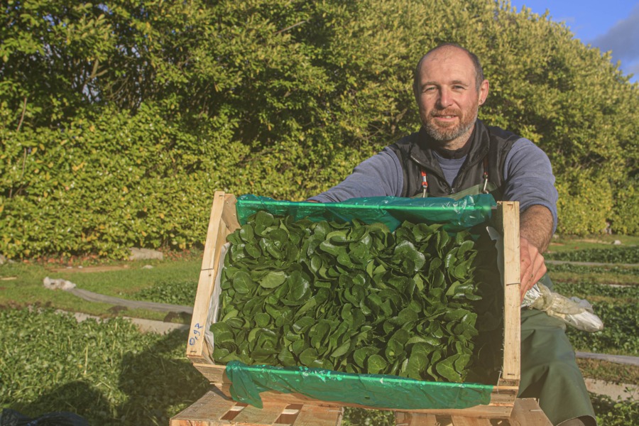 La Cressonnière Sainte-Anne