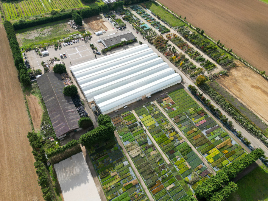 Pépinières du Plateau de Versailles