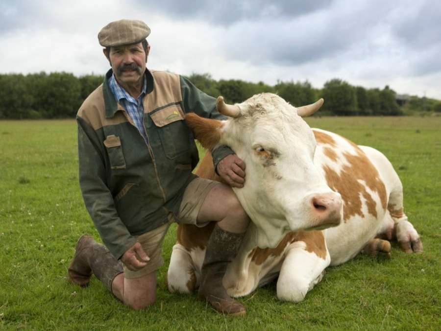 SARL La Ferme de Courcelles