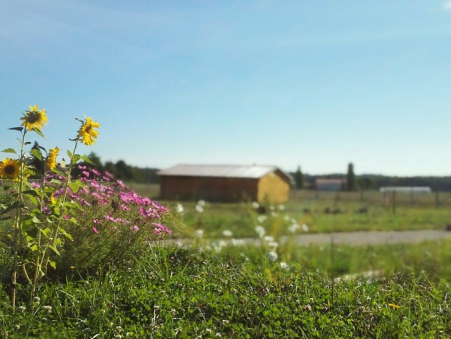 La Ferme de l'Orée de Milly