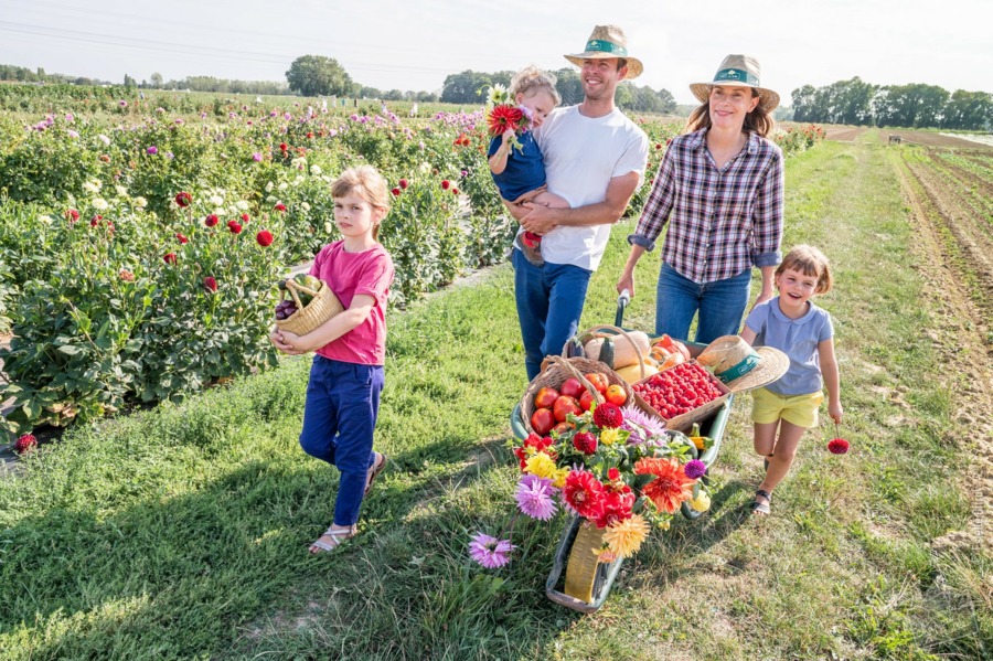 Cueillette de Lumigny