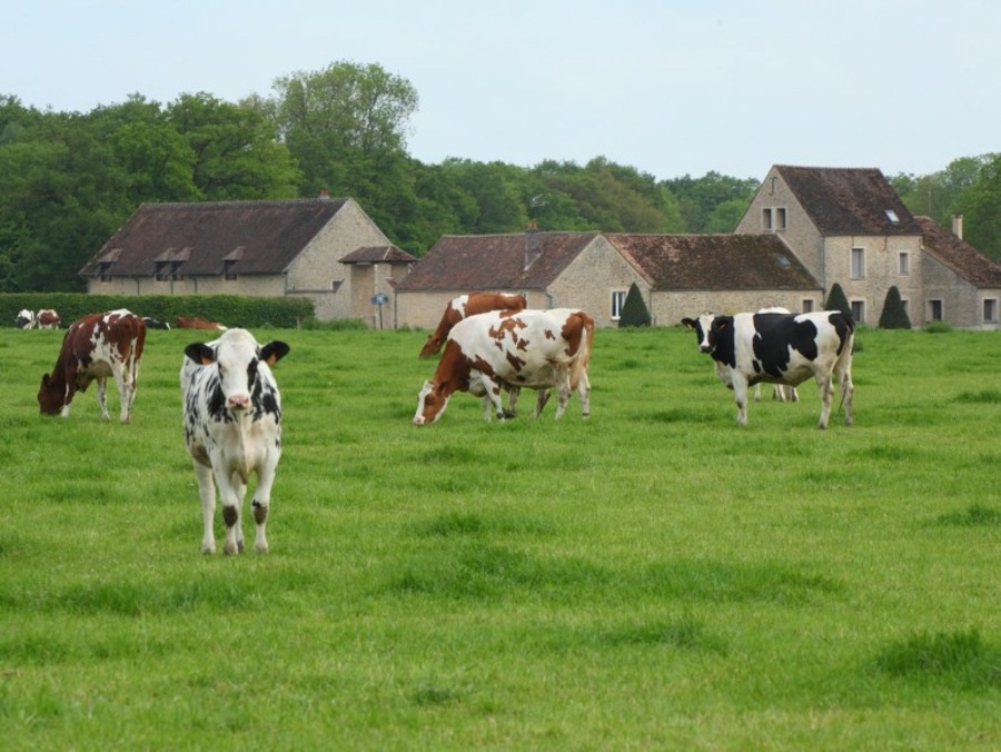 Ferme des 30 Arpents