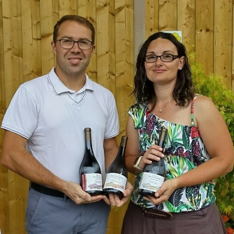 Domaine Delorozoy -Vignes En Brie