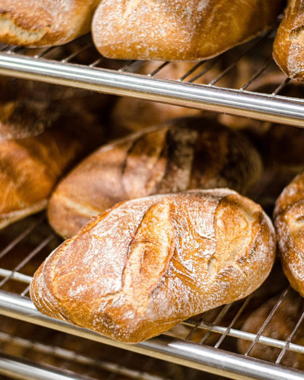 sarl domaine de la ferme de Forest