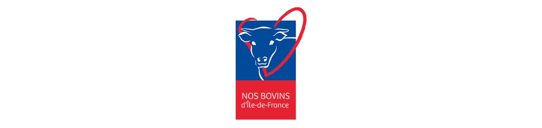 Bovins