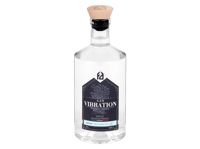 GIN VIBRATION