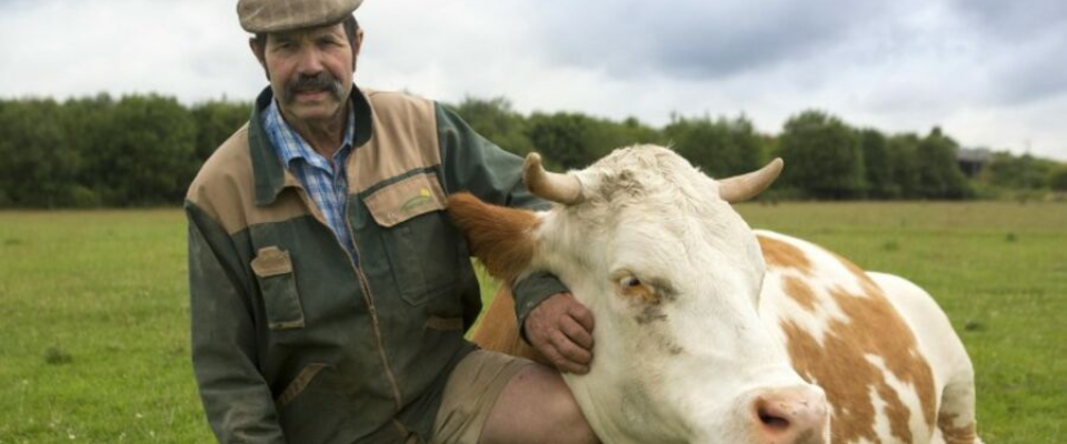 La ferme de Courcelles